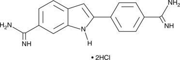 DAPI溶液（配制,使用方法,步驟）